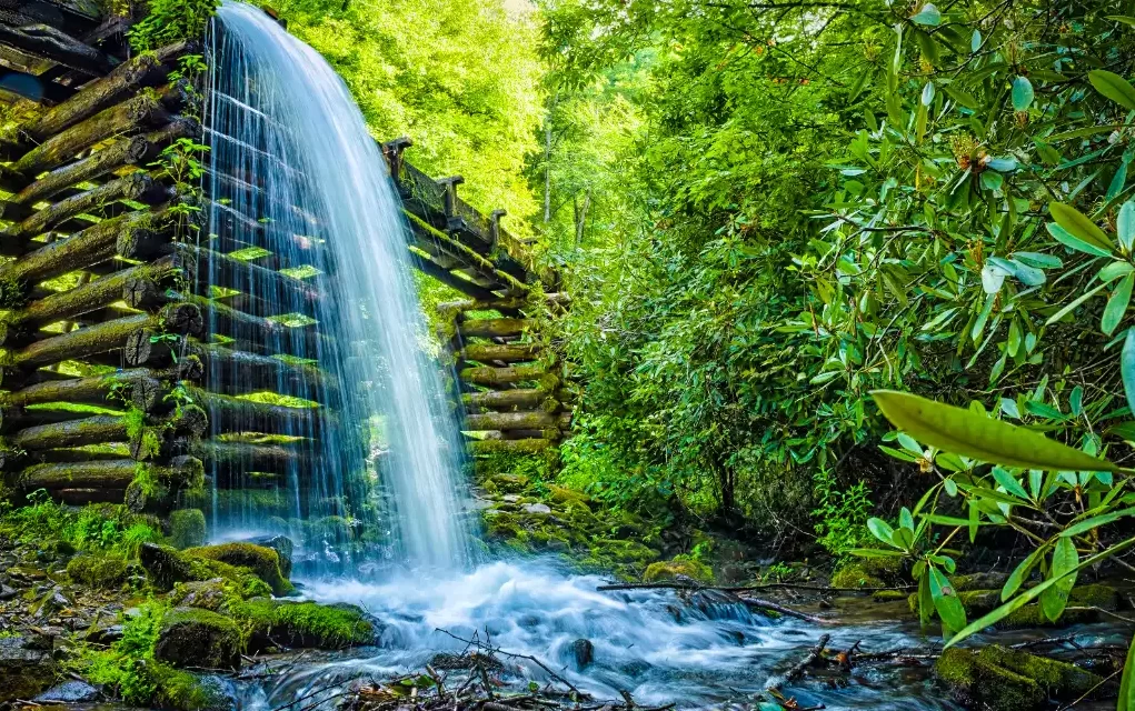 Majestic Cascades: Top 10 Most Beautiful Waterfalls in the UK
