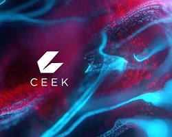 CEEK VR Immersive Virtual Reality