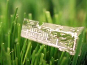 Biodegradable Electronics