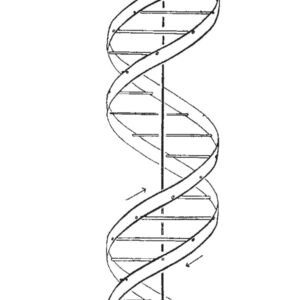 The Structure of DNA (1953)