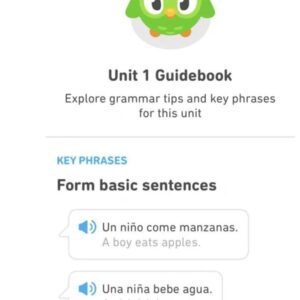Duolingo: Master Basic Phrases