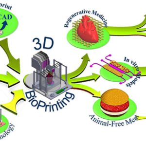 Organ Regeneration: Progress in Tissue Engineering and 3D Printing