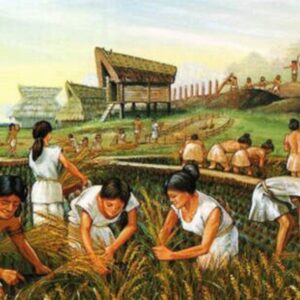 The Agricultural Revolution (10,000 BCE)