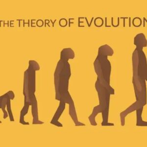 The Theory of Evolution (19th Century)